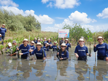 From 70 Million Walka-Walka Steps to 700 Mangrove Trees for Tangerang’s Coastal Protection